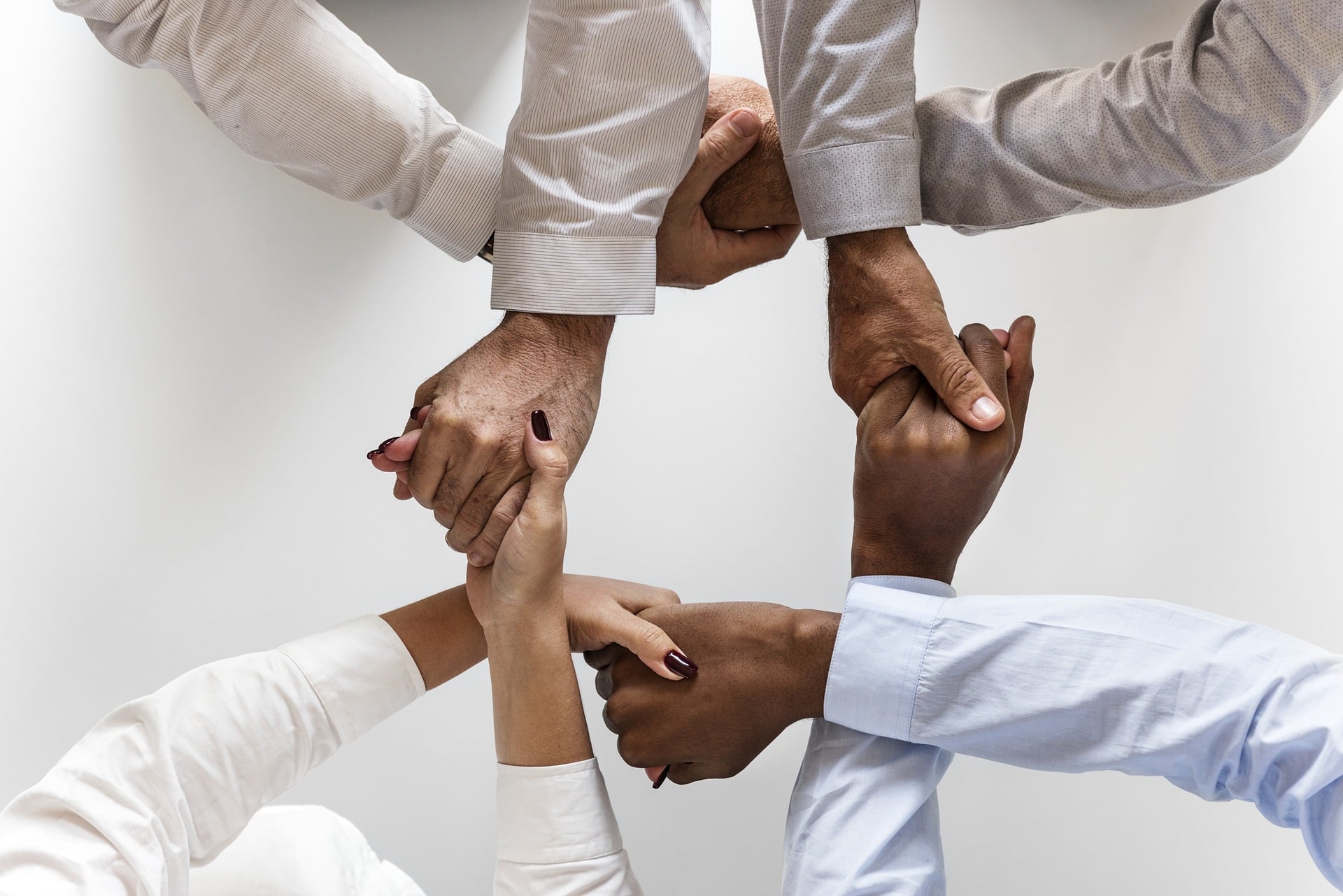 Soutien et accompagnement des MJC du Tarn FDMJC 81